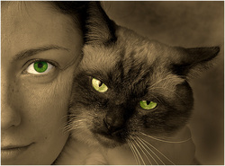 78a6f984 8694 4d3e 9a89 107fb3646eae rectangle 250 x