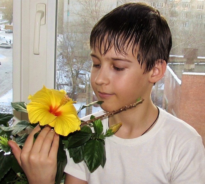 Elena Tarasenko, «Цветовод.»