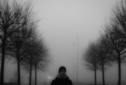 20f31425 841e 4789 a56b cf630bb1a3f7 rectangle 250 x
