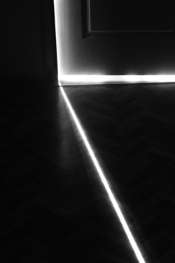 F2dd276e b3d8 4cd0 b9dc 97273e716f3a rectangle 250 x