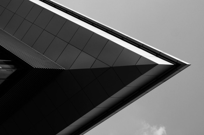 Татьяна Заяц, «black and white»
