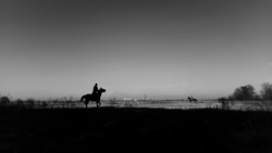 02c1c773 6cec 40a5 b770 f9c5e2502d1e rectangle 250 x