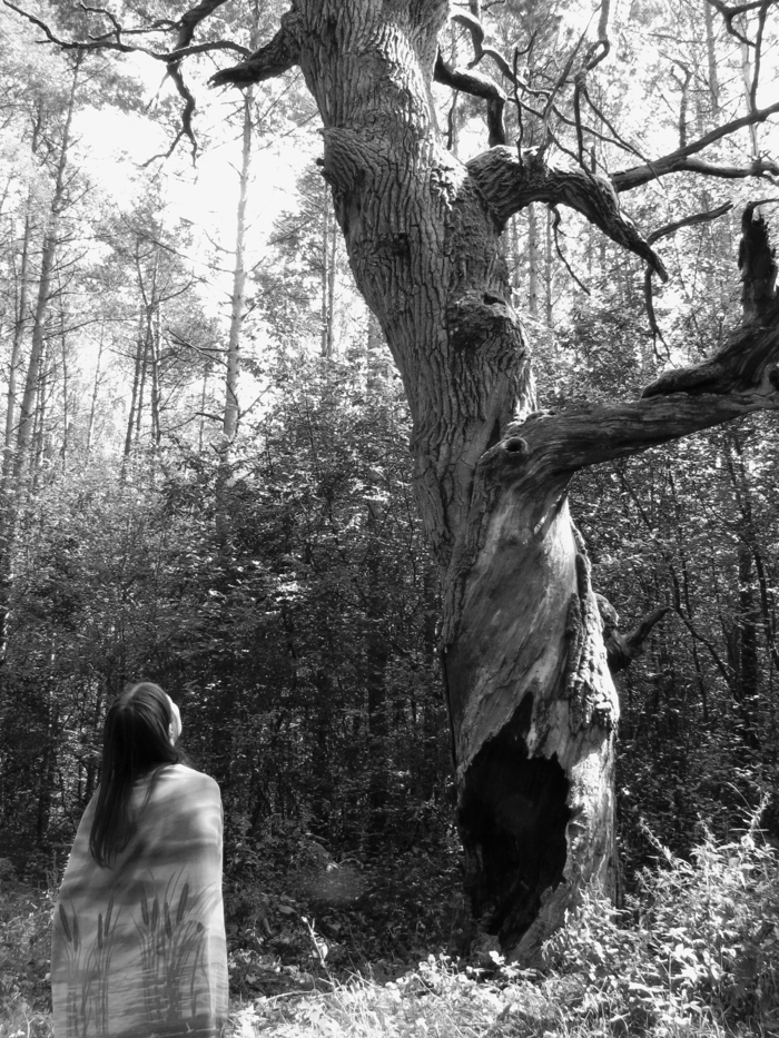 Владимир Лешкевич, «The Girl and theTree»