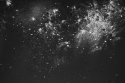 Ddd1b5d2 5268 4901 ac37 6281b5b2762b rectangle 250 x
