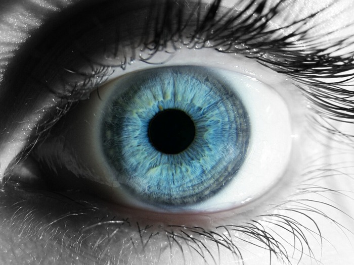 5d8944ca 4141 42d7 9fef e6517e4cc336 rectangle 700 x