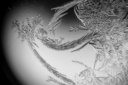 D2ab4467 3e79 4581 8884 ef7249efc6a0 rectangle 250 x