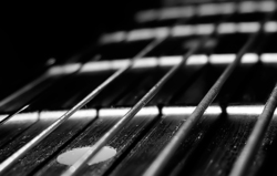 58f89405 e5c2 465d 9fbd 6fe88d39d8eb rectangle 250 x