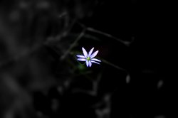 6641ed99 c1b7 4813 a124 09aca084a13b rectangle 250 x