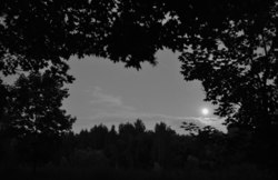 417a60da 3fd9 44c3 994f b37454a10720 rectangle 250 x