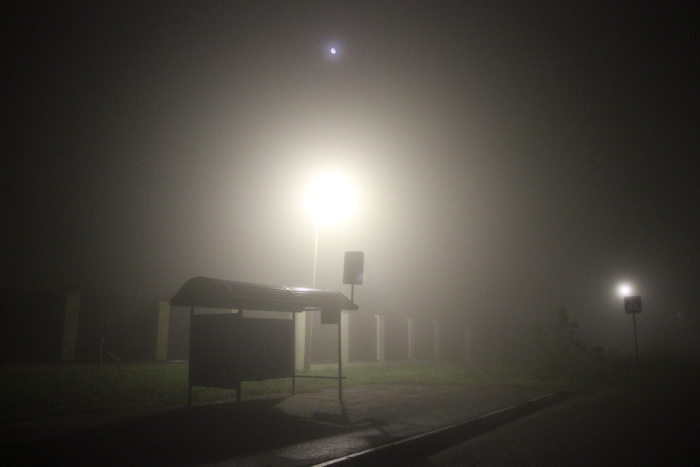 Анна Лукина, «Тишина в тумане»