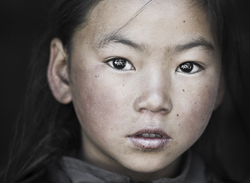 D7471634 2963 4901 9a80 8c23dd9a5963 rectangle 250 x
