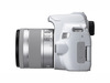 Зеркальная камера Canon EOS 250D