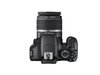 Зеркальная камера Canon EOS 550D