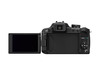 Компактная камера Panasonic Lumix DMC-FZ100