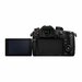 Беззеркальная камера Panasonic Lumix DMC-GH5 II