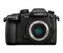 Беззеркальная камера Panasonic Lumix DMC-GH5