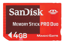 Носитель информации SanDisk Gaming Memory Stick PRO Duo 4GB