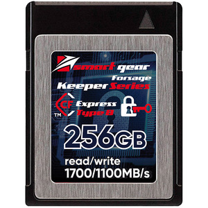 Носитель информации Smart Gear CFexpress 256 GB Type B Forsage