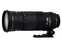 Объектив Sigma 120-300mm F2.8 DG OS HSM Nikon F