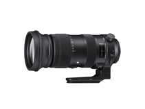 Объектив Sigma 60-600mm F4.5-6.3 DG OS HSM | S Nikon F