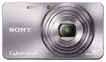 Компактная камера Sony Cyber-shot DSC-W570